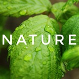 Nature Природа